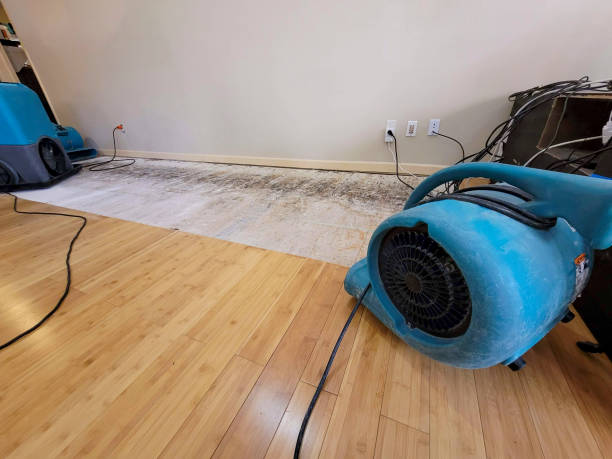 Professional Flood Damage Cleanup technician working in Mitchellville, MD